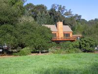 img_001_0091_176 Valley Oak  flat.jpg