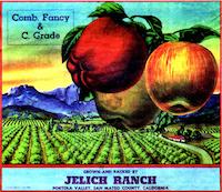 Jelich label.jpg