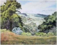 Jane Gallalgher Windy Hill.jpg
