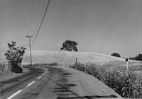 ROA-007p_TIF_MSTR.tif