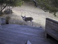 28 Buck stops here.JPG