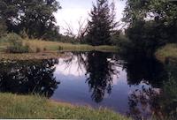 127 Lower pond serenity.jpg