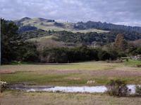 Frog pond, adj Corte madera school.JPG