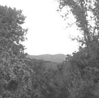 detail,_hills_in_'06.jpg