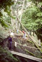 05Building Toyon Trail- Jane Ames_DanQuinn.jpg