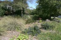 img_001_0134_222  Residence landscaping.jpg