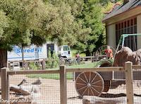 20110416-_DSC7737-26.jpg