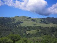 Windy Hill 11.jpg