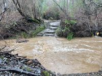 Creek at Bridge Trail12-30 at 8.22.06 PM.png