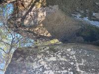 IMG_3438.jpeg