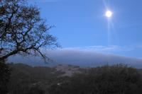 zz moonlight on the hill.JPG
