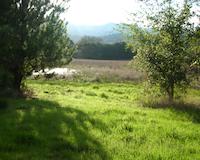 DSCN2333.JPG
