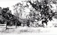 DEN-021p_TIF_MSTR.tif