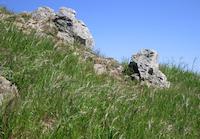 Rock outcrop Spring Ridge - Windy Hill.JPG