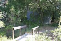 IMG_7175.JPG