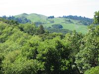img_001_0282_287  Windy Hill from Blue Oaks.jpg