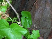 DSCN3175.JPG