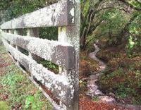 ValleyOak Creek View.jpg
