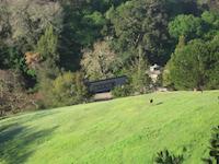 img_001_0145_232  Residence setting.JPG