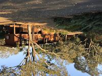 HOM-142d 391 Golden Hills.jpg