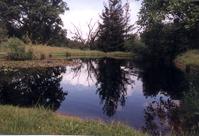 Lower pond serenity.jpg
