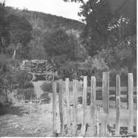LUM-002c2p_TIF_MSTR.tif