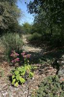 img_001_0135_223  Residence landscaping.jpg