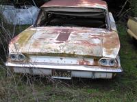 The Woods' car lot 2.JPG