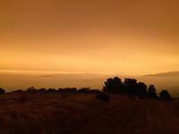 Cornew 3 PM Sept9 from Windy Hill .jpeg