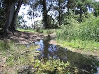 small lake mid-Spanish Trail.jpg