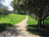 img_001_0008_08 Alpine Rd trail.jpg