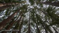 DSC00355.jpg