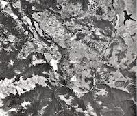AER-100c2d_1960.jpg
