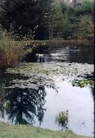 img_001_0037_126  Lower pond.jpg