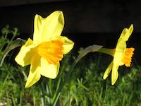 IMG_1228.JPG