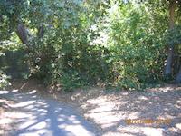 IMG_0442.JPG