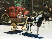 TOWP-136D Mary Hufty & Sons.jpg