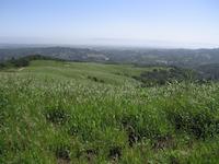 Windy Hill__9221.JPG