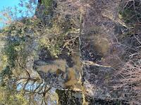 a good view of the wall of the Quary.jpeg