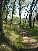 IMG_1413.JPG