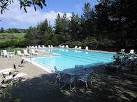 img_001_0115_202 Upper (lap) pool.jpg