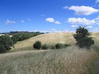 Woods Property.JPG