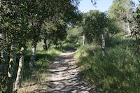 IMG_7164.JPG