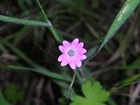 DSCN3171.JPG
