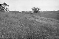 ROL-015Lc1p_TIF_MSTR.tif