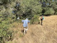 IMG_3614.jpg
