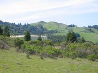 Water tank Coal MIne ridge.jpg