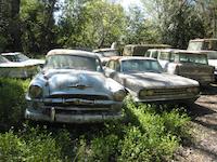 IMG_1396.JPG