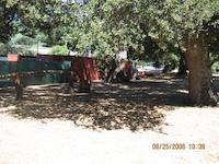 IMG_0477.JPG