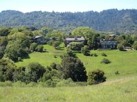 Portola Valley scene 1376.JPG